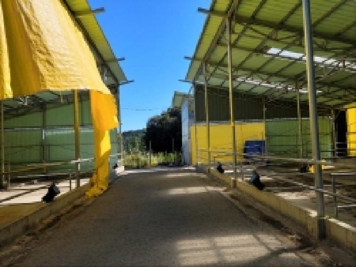 2025타경52050 법원경매 사진20 | 전남 보성군 축사(농가시설) 경매
