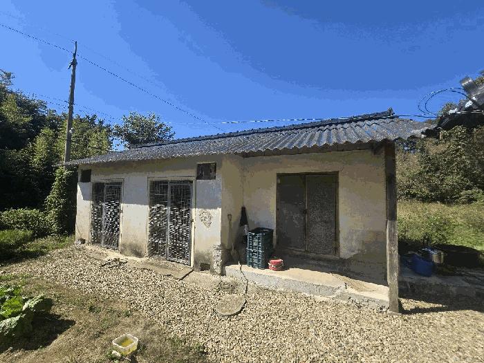 2025타경52061 법원경매 사진5 | 전남 보성군 주택건물 경매