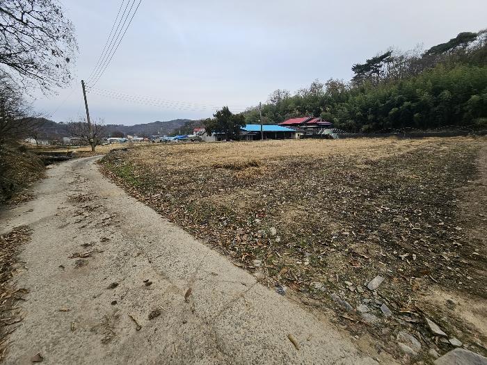 법원경매 2024타경32190 사진5 | 고성군 영오면 연당리 199-1 전 경매