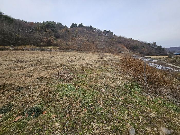 법원경매 2024타경32190 사진6 | 고성군 영오면 연당리 199-1 전 경매