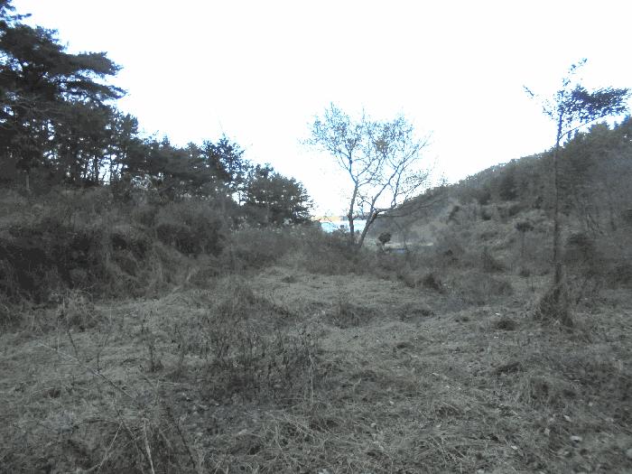 2024타경32756 법원경매 사진13 | 경남 통영시 답 경매