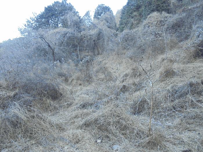 경상남도 통영시 도산면 오륜리 308 법원경매 물건 대표사진