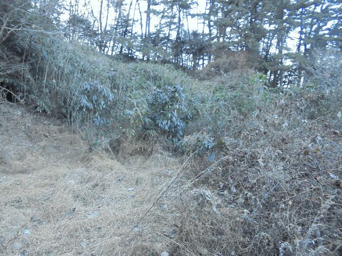 2024타경32756 법원경매 사진21 | 경남 통영시 전 경매