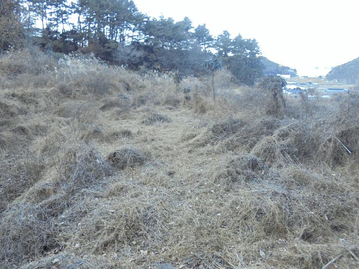 2024타경32756 법원경매 사진6 | 경남 통영시 전 경매