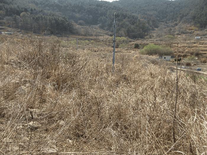 2025타경378 법원경매 사진7 | 경남 고성군 답 경매