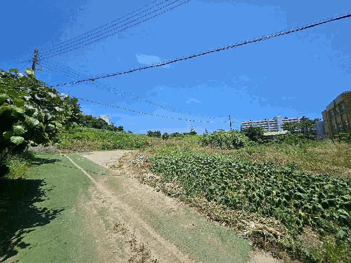 전라남도 완도군 완도읍 가용리 6 법원경매 물건 대표사진