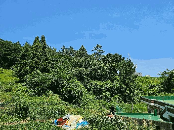 2025타경1092 법원경매 사진16 | 전남 완도군 전 경매