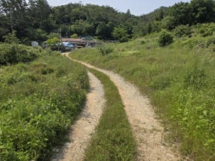 2025타경1092 법원경매 사진19 | 전남 완도군 전 경매
