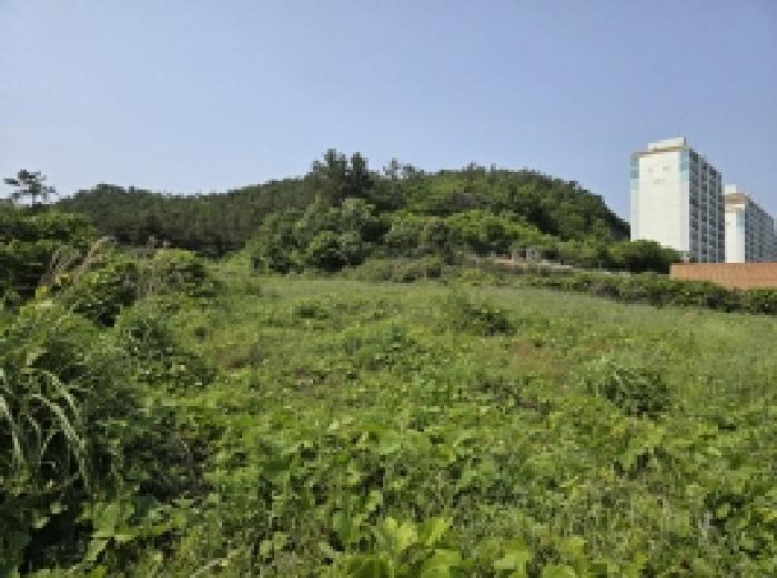 2025타경1092 법원경매 사진23 | 전남 완도군 전 경매