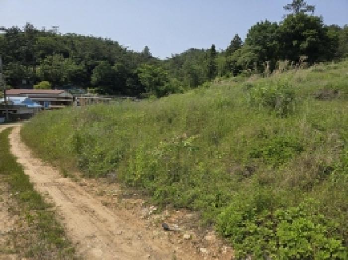 2025타경1092 법원경매 사진25 | 전남 완도군 전 경매