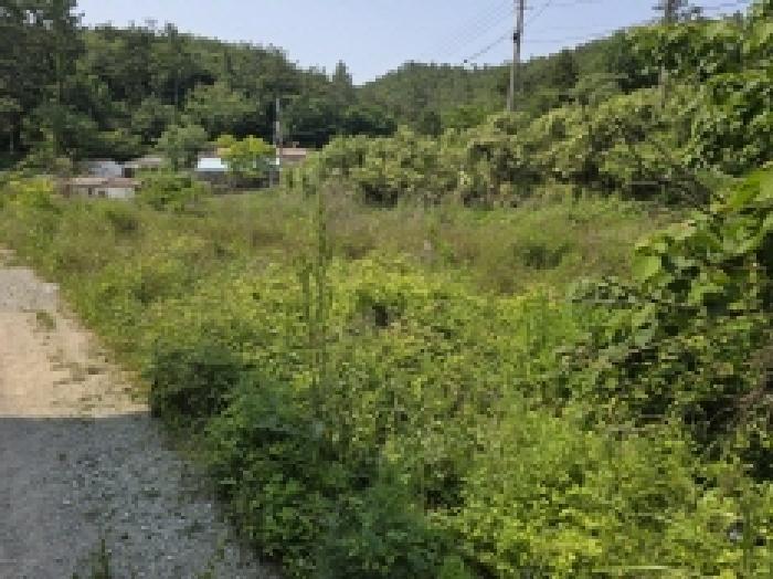 2025타경1092 법원경매 사진27 | 전남 완도군 전 경매