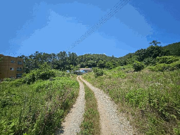 2025타경1092 법원경매 사진3 | 전남 완도군 전 경매