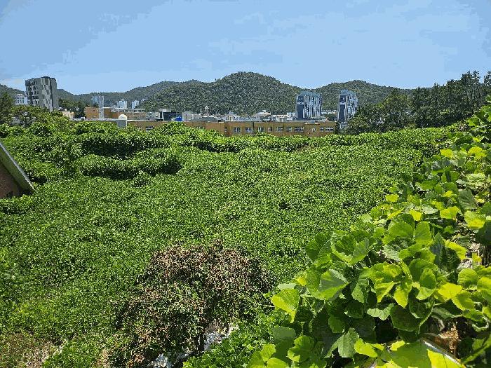 2025타경1092 법원경매 사진5 | 전남 완도군 전 경매