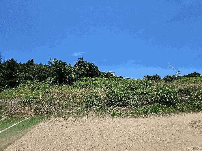2025타경1092 법원경매 사진8 | 전남 완도군 전 경매