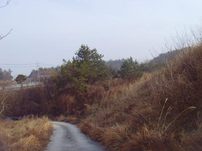 2025타경50124 법원경매 사진3 | 전남 해남군 임야 경매