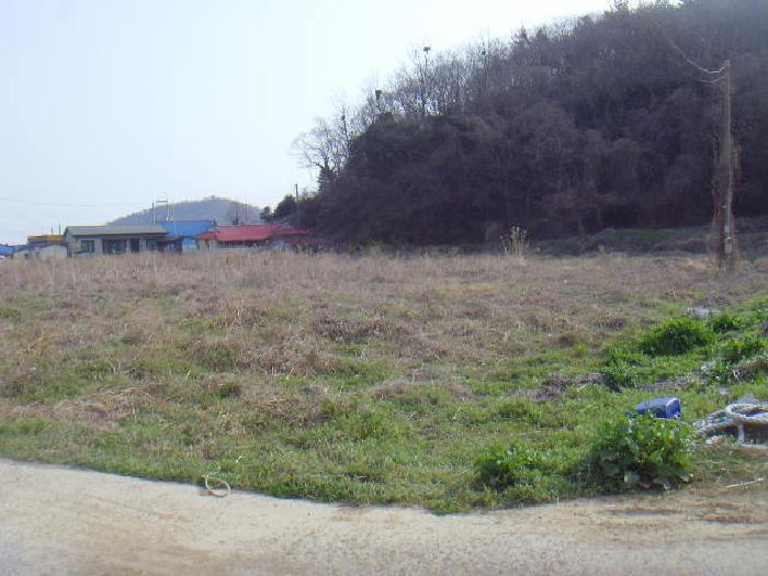 2025타경50382 법원경매 사진4 | 전남 진도군 답 경매