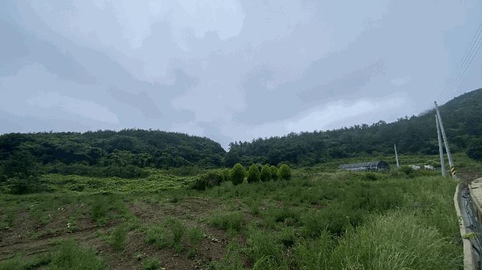 2025타경50445 법원경매 사진3 | 전남 진도군 임야 경매