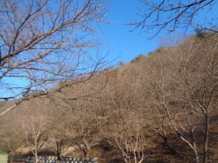 법원경매 2025타경1066 사진7 | 완주군 운주면 산북리 417-23 임야 경매