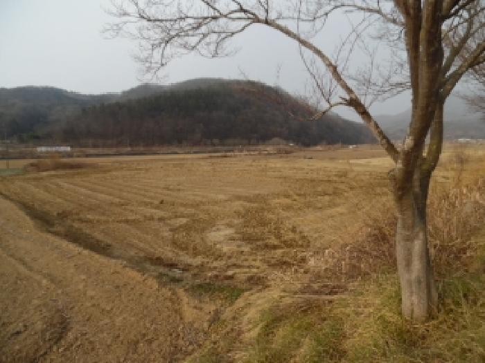 2025타경1114 법원경매 사진3 | 전북 진안군 전 경매