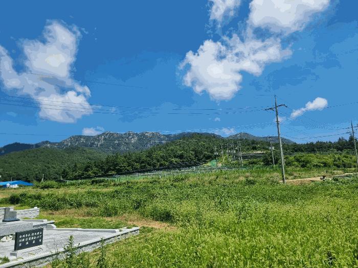 2025타경50516 법원경매 사진10 | 전남 해남군 잡종지 경매