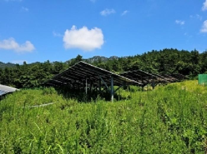 2025타경50516 법원경매 사진20 | 전남 해남군 잡종지 경매