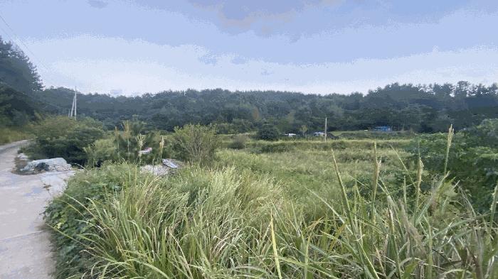 2025타경50572 법원경매 사진2 | 전남 완도군 전 경매