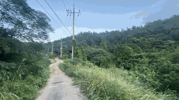 전라남도 완도군 신지면 대곡리 1300 법원경매 물건 대표사진