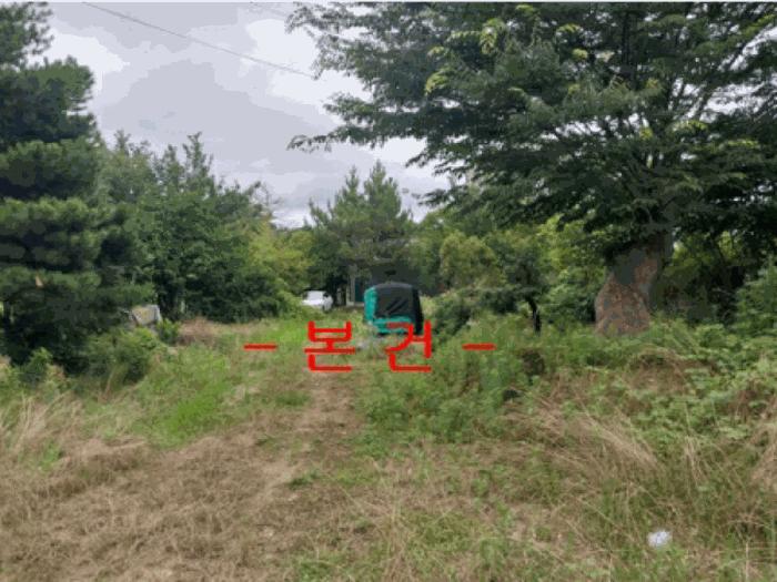 전북특별자치도 정읍시 소성면 등계리 300 법원경매 물건 대표사진
