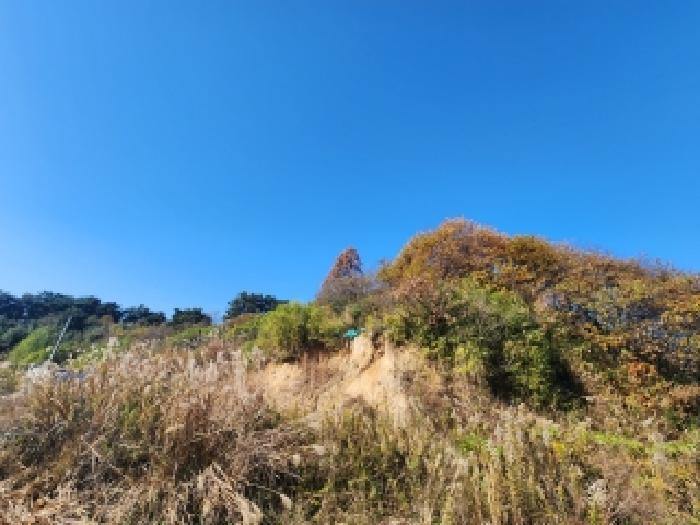 2025타경356 법원경매 사진9 | 전북 부안군 임야 경매