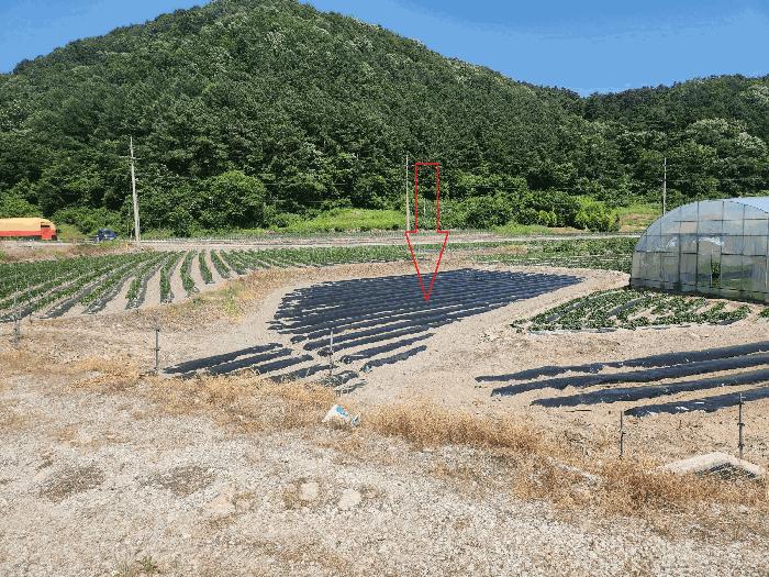 법원경매 2025타경30264 사진3 | 정읍시 산외면 정량리 114-14 답 경매