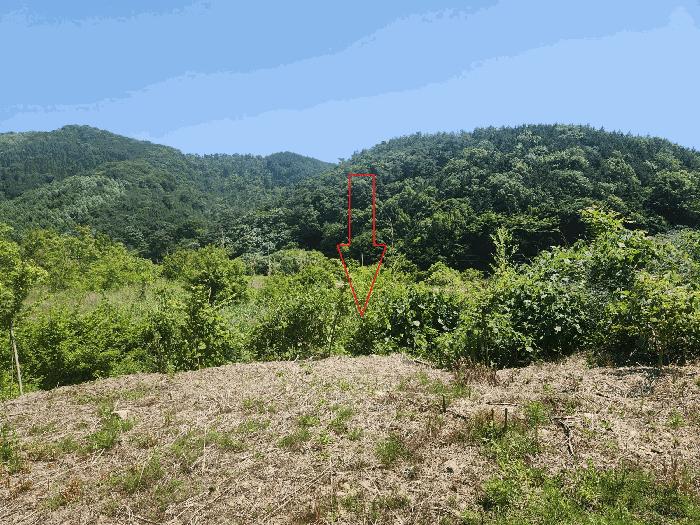 법원경매 2025타경30264 사진8 | 정읍시 산외면 정량리 114-14 답 경매