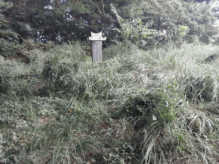 법원경매 2025타경30419 사진11 | 고창군 흥덕면 용반리 815-7 전북 고창군 전 경매