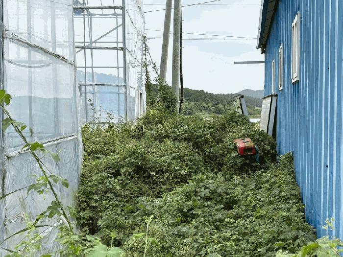 2025타경50643 법원경매 사진19 | 전남 완도군 답 경매