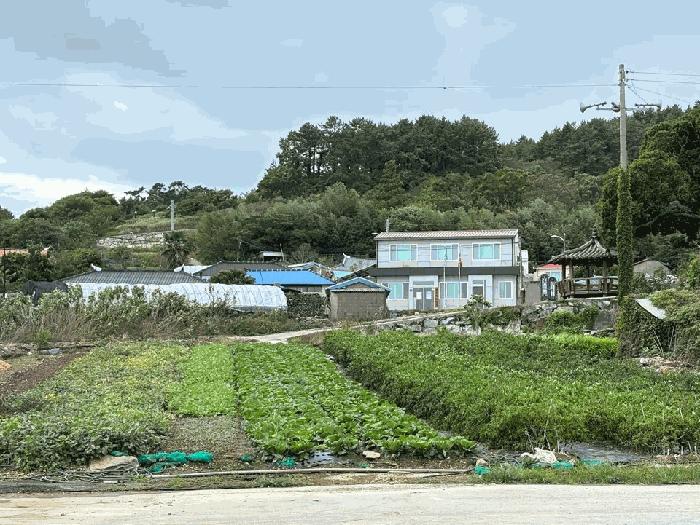 2025타경50643 법원경매 사진23 | 전남 완도군 답 경매