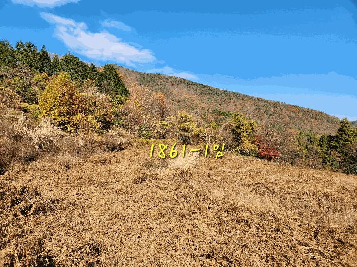 2024타경6235 법원경매 사진2 | 경남 남해군 답 경매