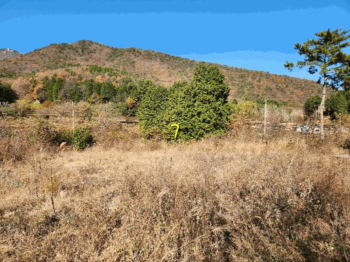 2024타경6235 법원경매 사진5 | 경남 남해군 답 경매
