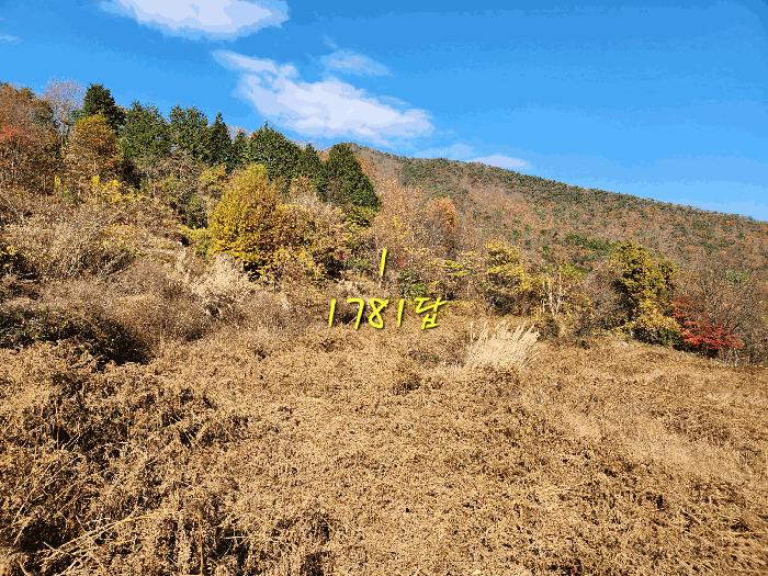 경상남도 남해군 삼동면 봉화리 1853 법원경매 물건 대표사진