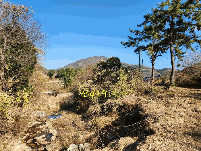 2024타경6235 법원경매 사진6 | 경남 남해군 주택건물 경매