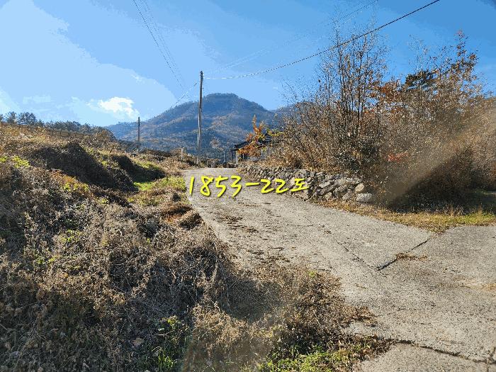 2024타경6235 법원경매 사진4 | 경남 산청군 임야 경매
