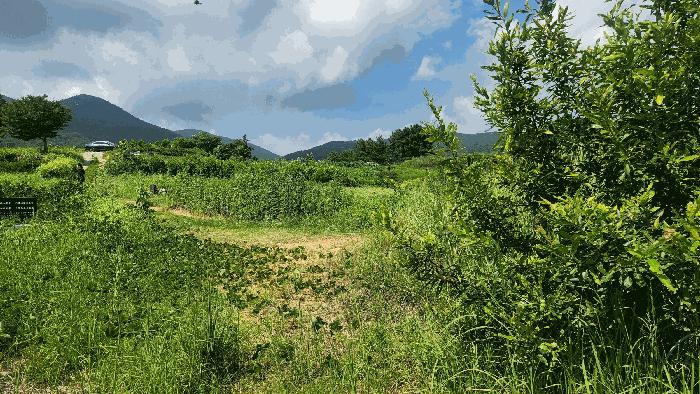 2025타경864 법원경매 사진6 | 경남 남해군 공장 경매