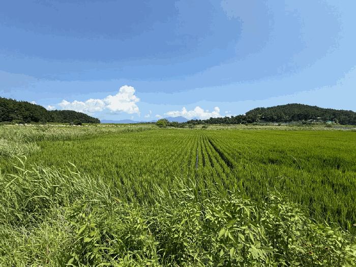 경상남도 사천시 서포면 비토리 119-52 법원경매 물건 대표사진