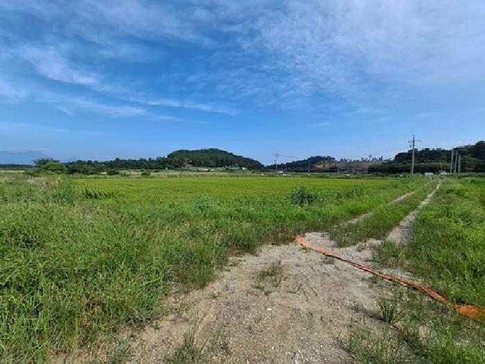 2025타경879 법원경매 사진5 | 경남 사천시 답 경매