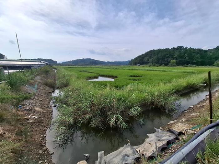 2025타경879 법원경매 사진9 | 경남 사천시 답 경매