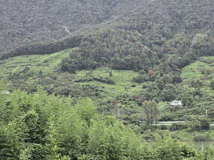 경상남도 하동군 악양면 평사리 산82-1 법원경매 물건 대표사진