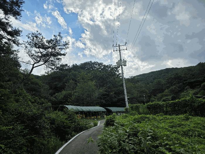 2025타경894 법원경매 사진6 | 경남 진주시 임야 경매