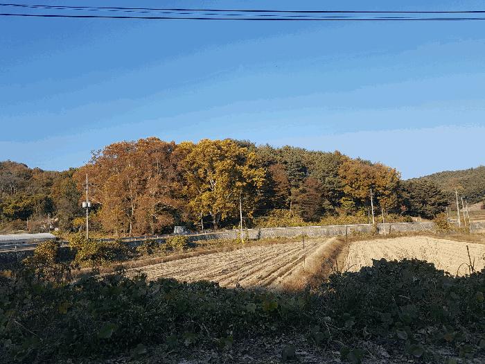 법원경매 2025타경1026 사진3 | 진주시 수곡면 사곡리 임야 경매