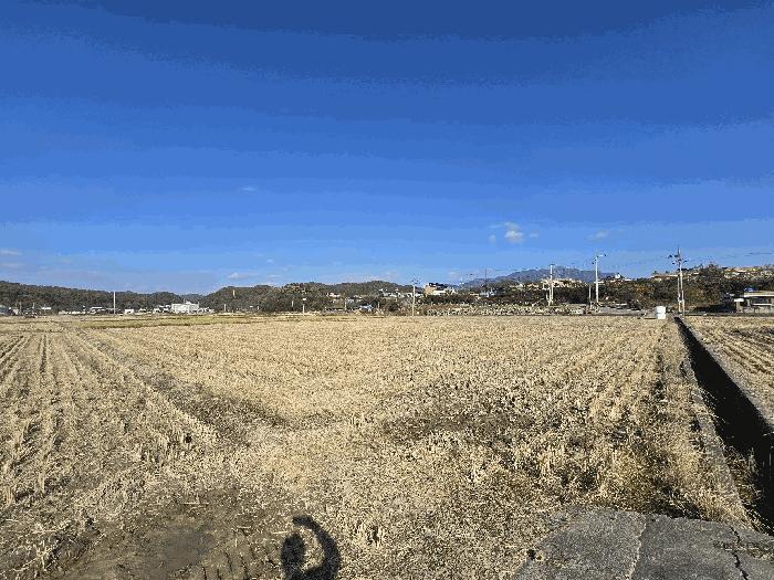 법원경매 2025타경31346 사진3 | 하동군 금성면 궁항리 1242 답 경매