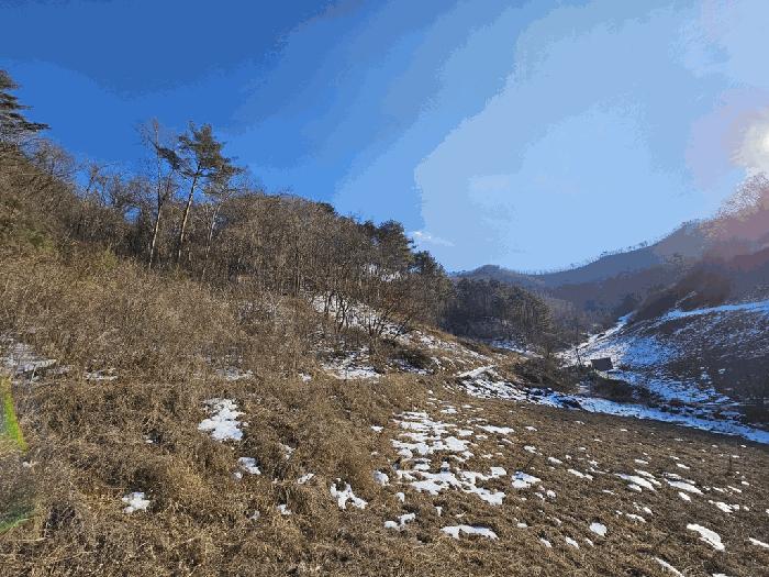 강원특별자치도 정선군 화암면 백전리 159-7 법원경매 물건 대표사진