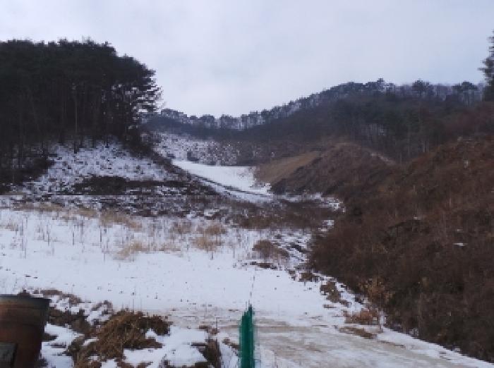 법원경매 2025타경30128 사진13 | 정선군 화암면 백전리 159-7 전 경매