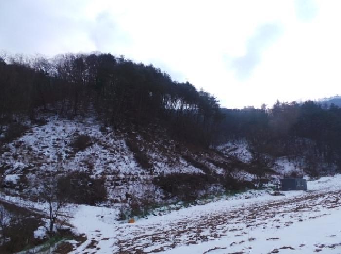 법원경매 2025타경30128 사진15 | 정선군 화암면 백전리 159-7 전 경매